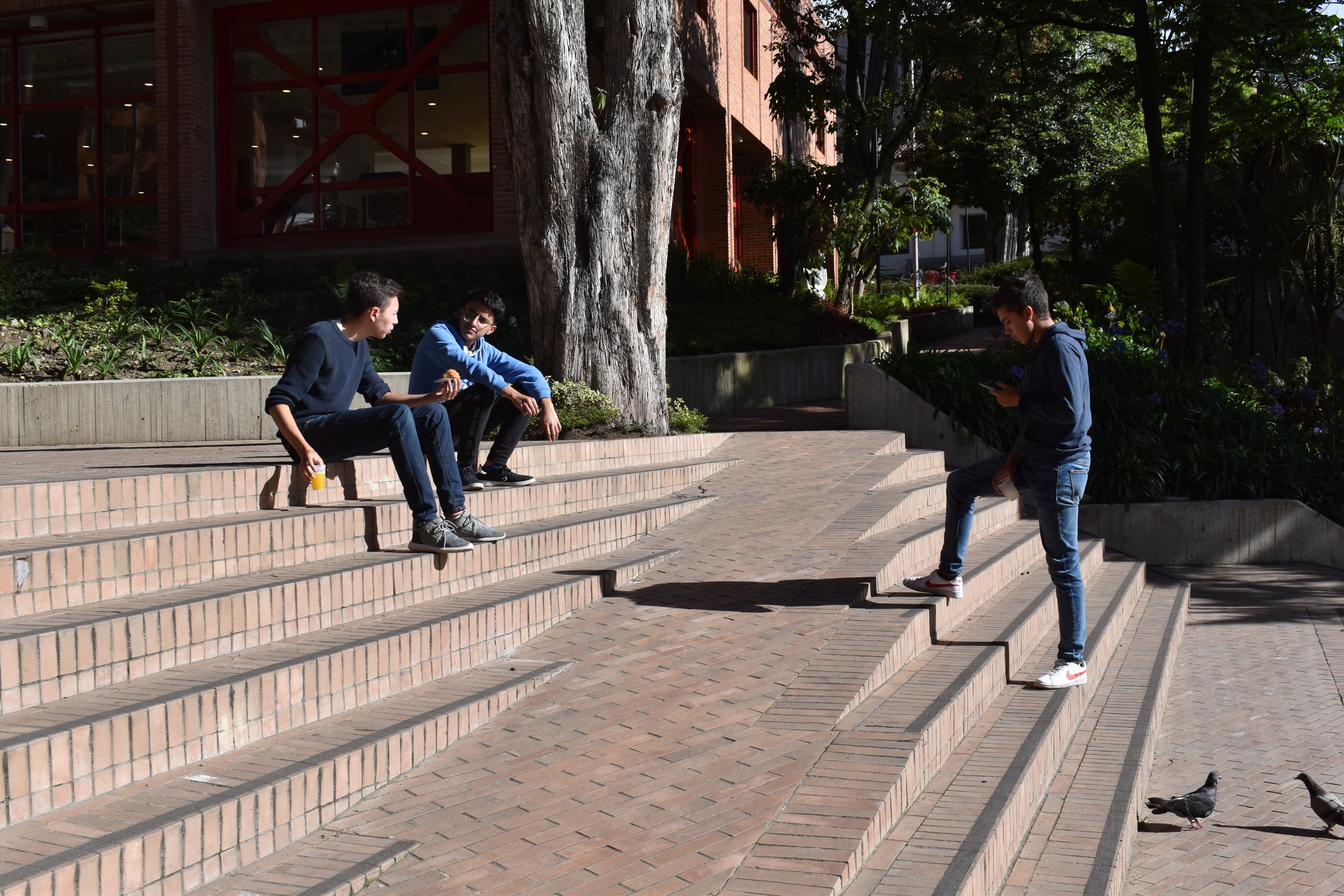 Campamento de verano Uniandes 2019