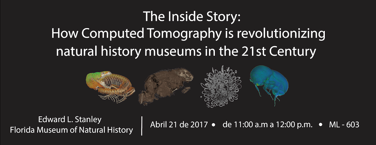 17 04 theinside