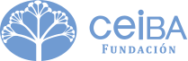 29 01 ceiba