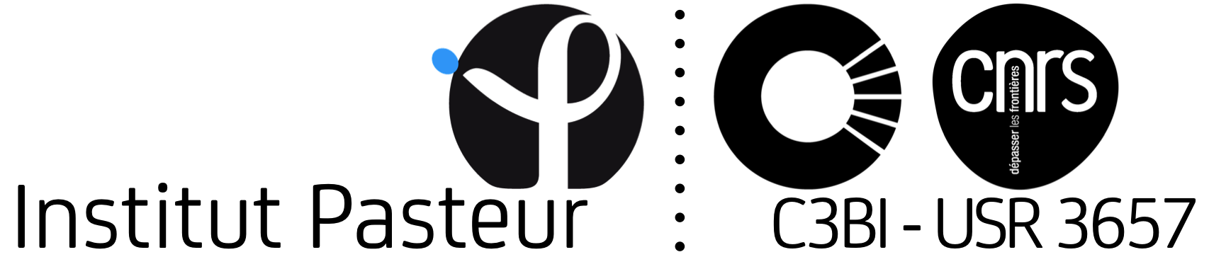 LogoIP CNRS C3BI NBV3