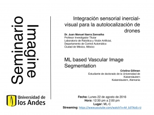 Seminario IMAGINE 22 de agosto