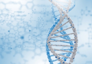 ¿Qué es la Biología Computacional?