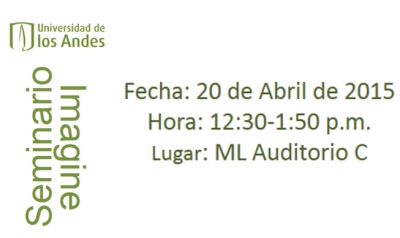 Seminario IMAGINE No. 11