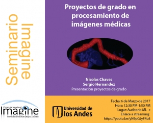Seminario IMAGINE