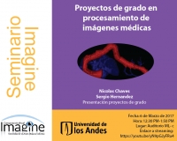 Seminario IMAGINE