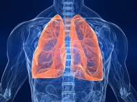 Sustentación Tesis Doctoral: Lung segmentation and airway tree matching