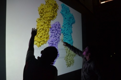 Electivas profesionales en Biología Computacional para el 2016 - 10