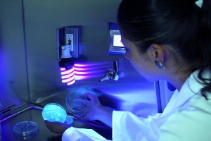 La Biología Computacional en Colombia, que ha pasado en los últimos años.
