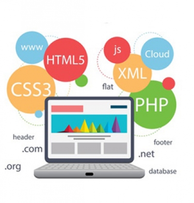 Asistencia Graduada Websis 2016-20